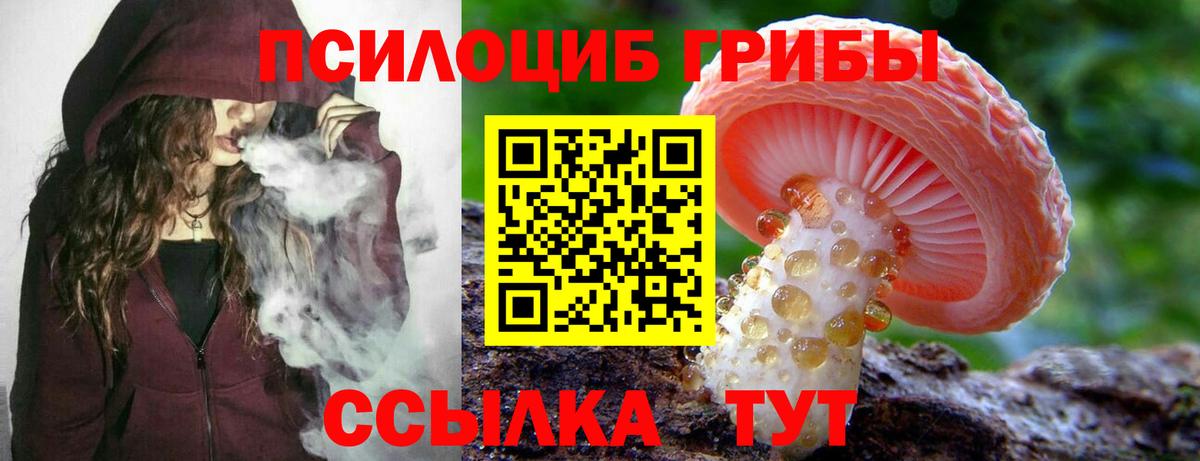 Псилоцибиновые грибы GOLDEN TEACHER Томск