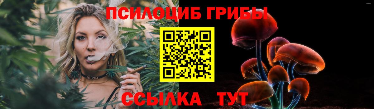 Галлюциногенные грибы Cubensis  Вход с VPN  Томск 