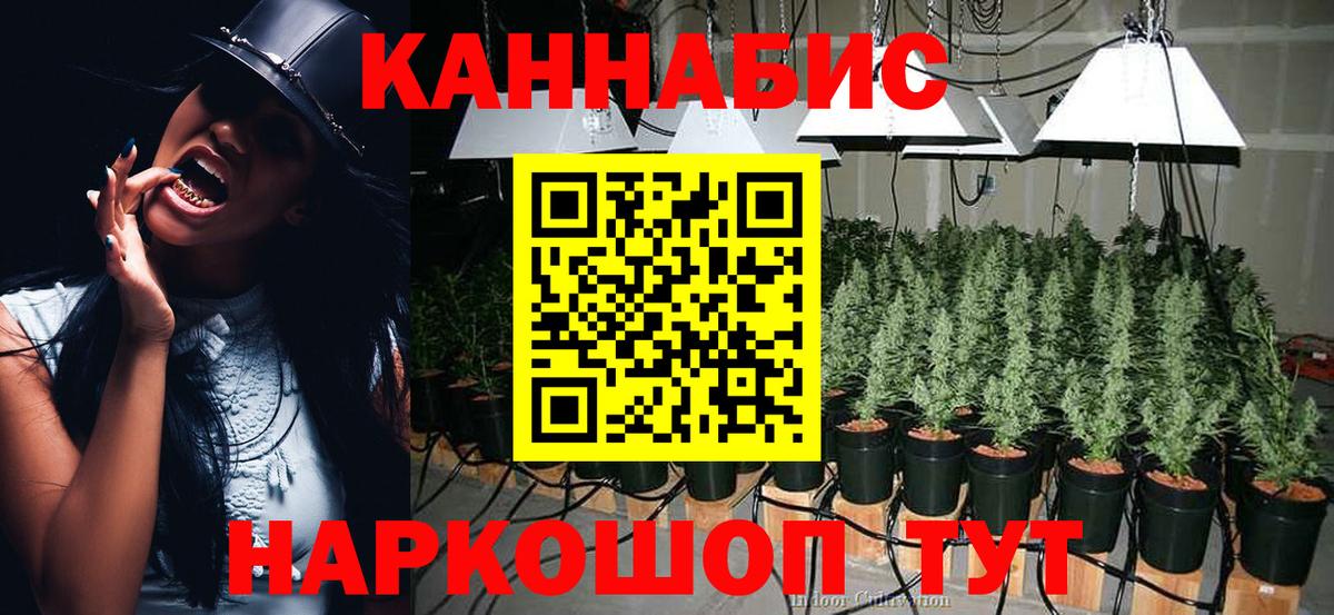 Бошки марихуана семена Томск
